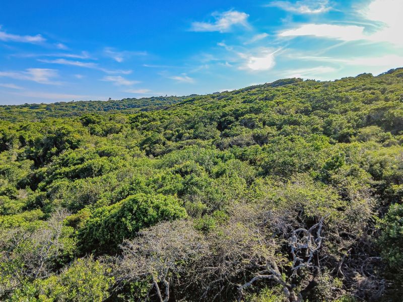Land with Breathtaking Views - Photo 9