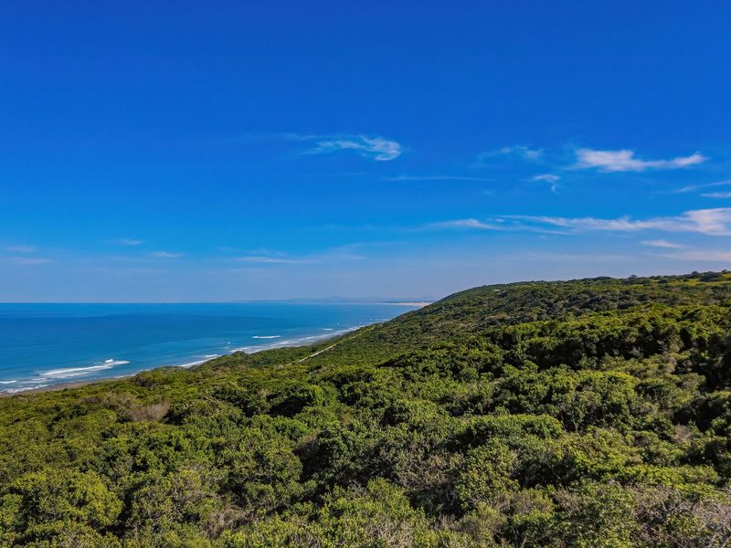 Land with Breathtaking Views - Photo 8