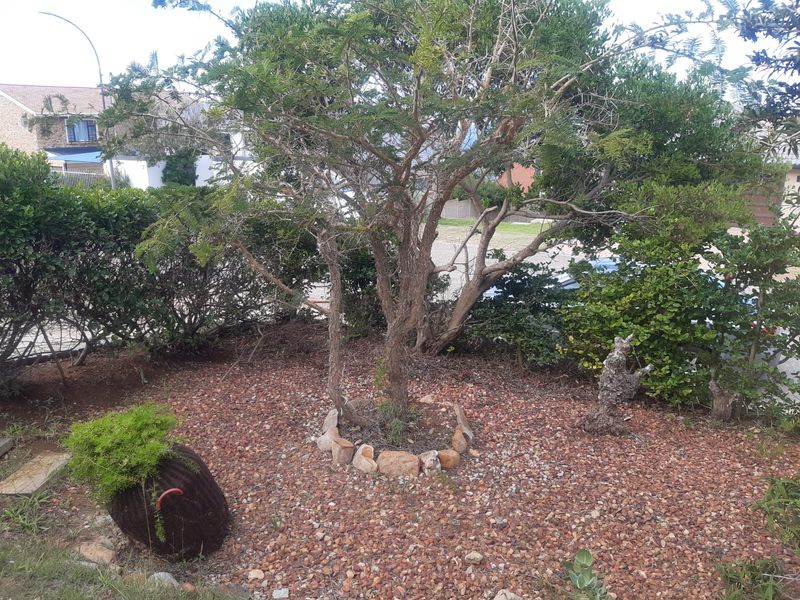 House Rental Monthly In Mossel Bay - Photo 4