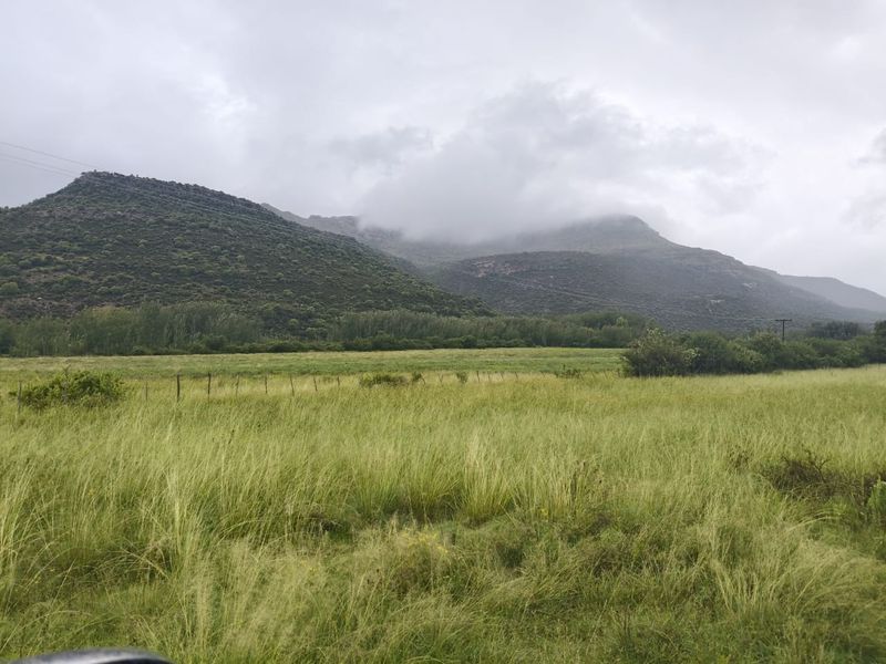 Weidingsplaas met Besproeiingsregte - Photo 5