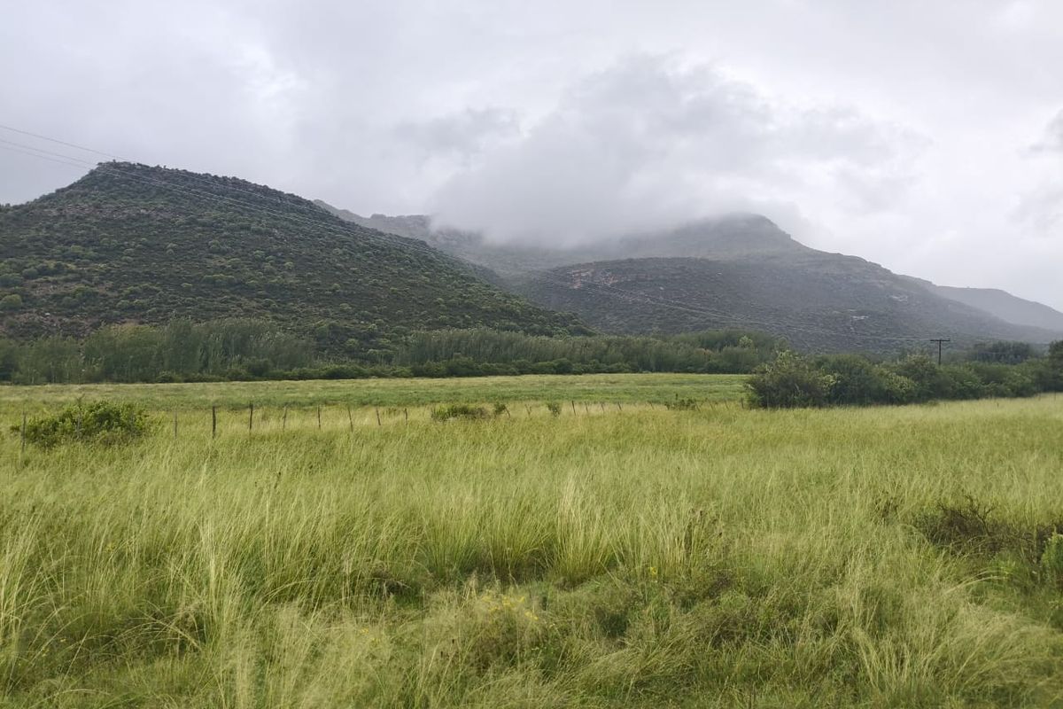 Weidingsplaas met Besproeiingsregte - Photo 5