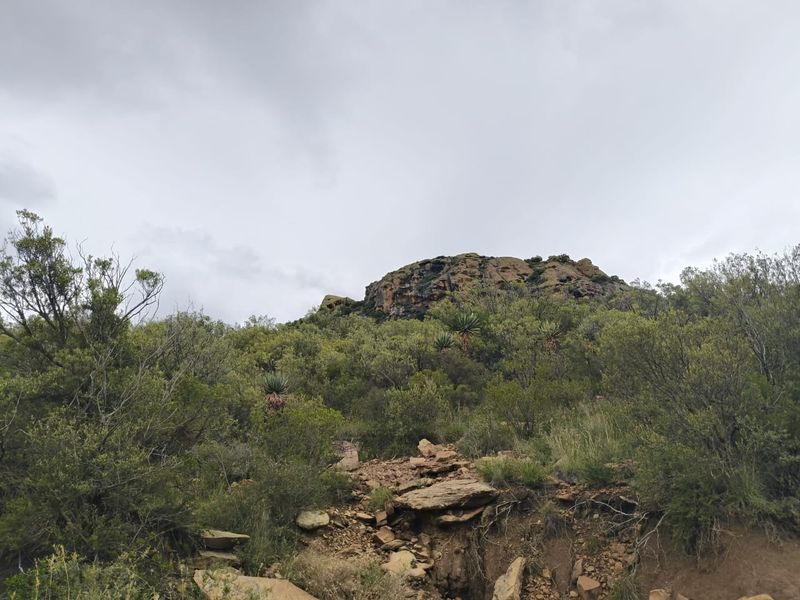 A scenic view of the natural landscape featuring rocky outcrops and indigenous vegetation on the farm property.