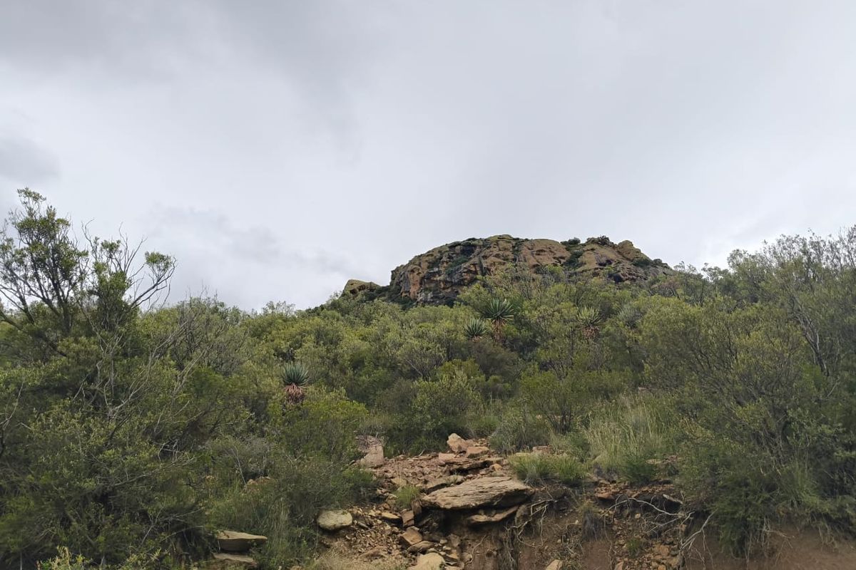 A scenic view of the natural landscape featuring rocky outcrops and indigenous vegetation on the farm property.