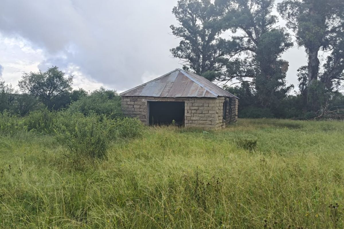 A small, derelict stone outbuilding with a corrugated metal roof situated in an overgrown field on the farm property.