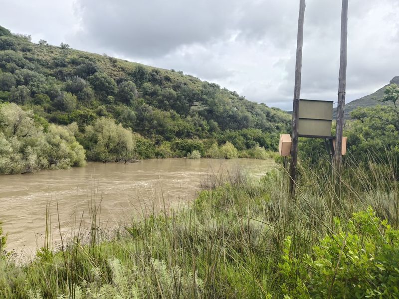 A scenic view of a flowing river landscape with natural vegetation and utility infrastructure on the bank.