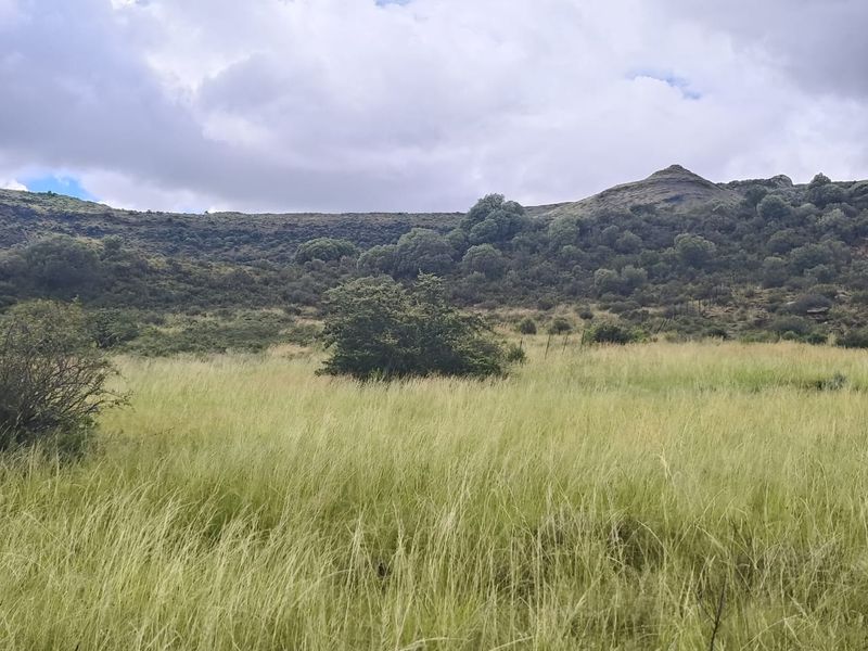 A scenic view of the expansive natural grassland and rolling hills on the farm property.