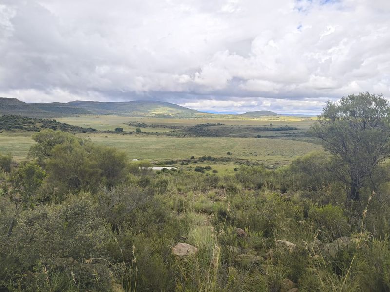 Expansive panoramic view of the surrounding farm landscape, featuring rolling hills, natural vegetation, and open fields under a cloudy sky.