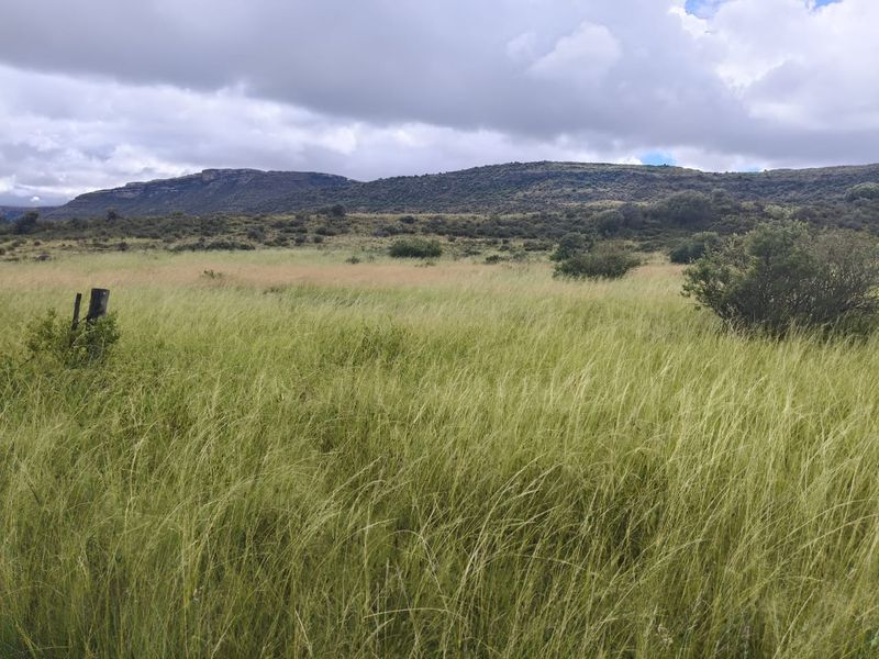 A scenic view of the expansive farm landscape featuring rolling grasslands and distant mountain ranges under a cloudy sky.
