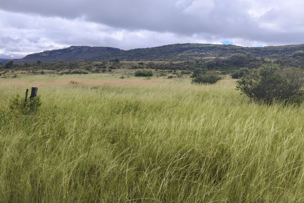 A scenic view of the expansive farm landscape featuring rolling grasslands and distant mountain ranges under a cloudy sky.