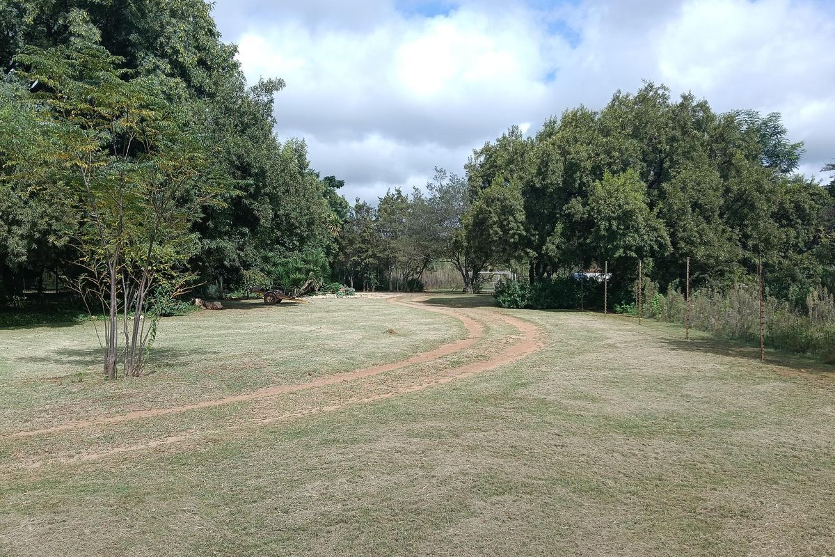plot with potential for sale - Photo 2