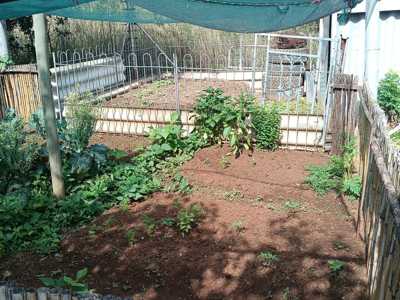 plot with potential for sale - Photo 8