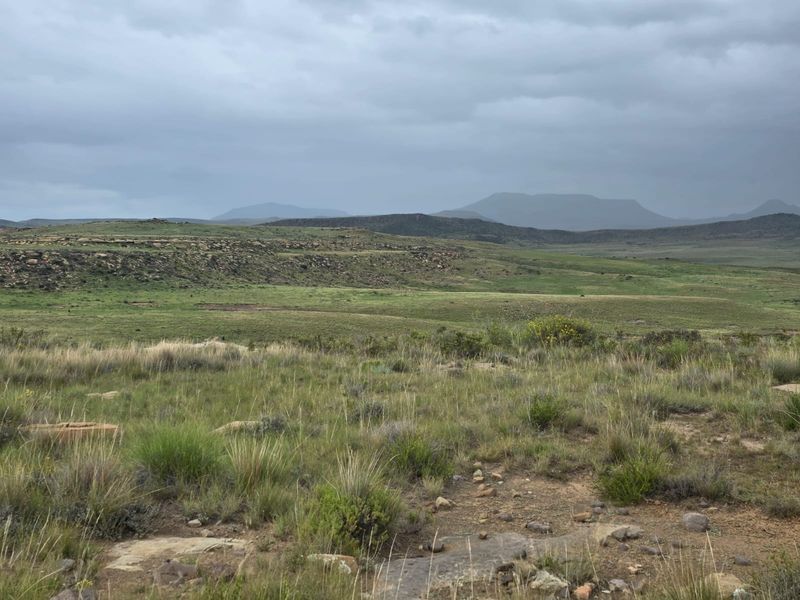 Weidingsplaas te koop - Photo 2