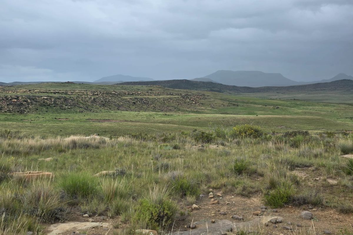 Weidingsplaas te koop - Photo 2