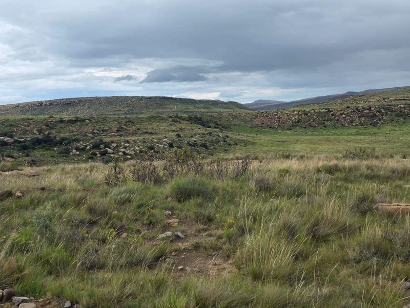 Weidingsplaas te koop - Photo 3