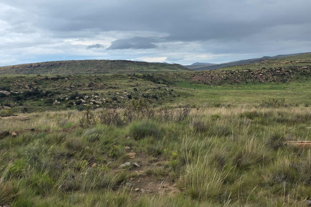 Weidingsplaas te koop - Photo 3