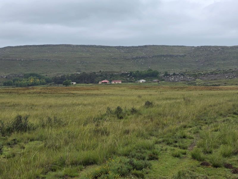 Weidingsplaas te koop - Photo 10