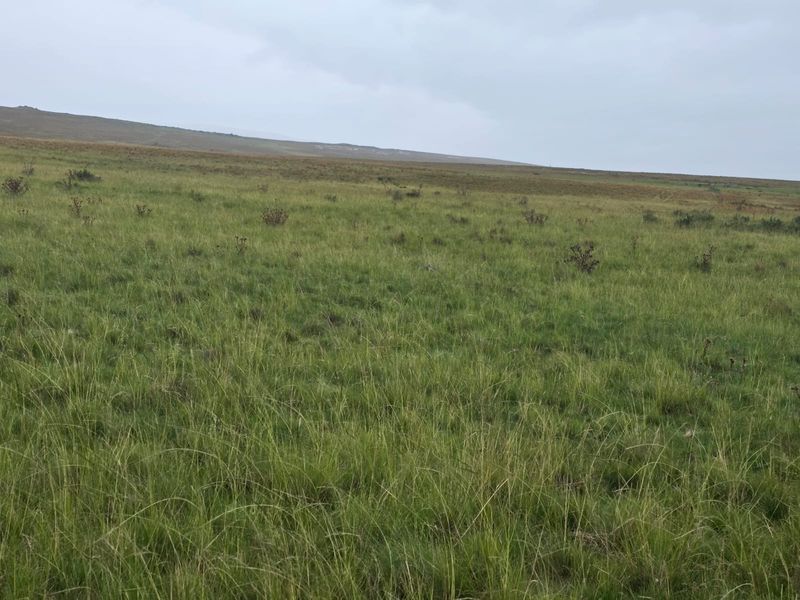 Weidingsplaas te koop - Photo 8