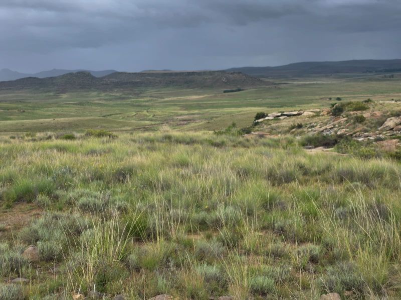 Weidingsplaas te koop - Photo 5