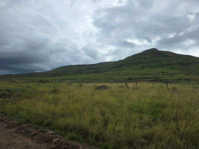 Weidingsplaas te koop - Photo 4