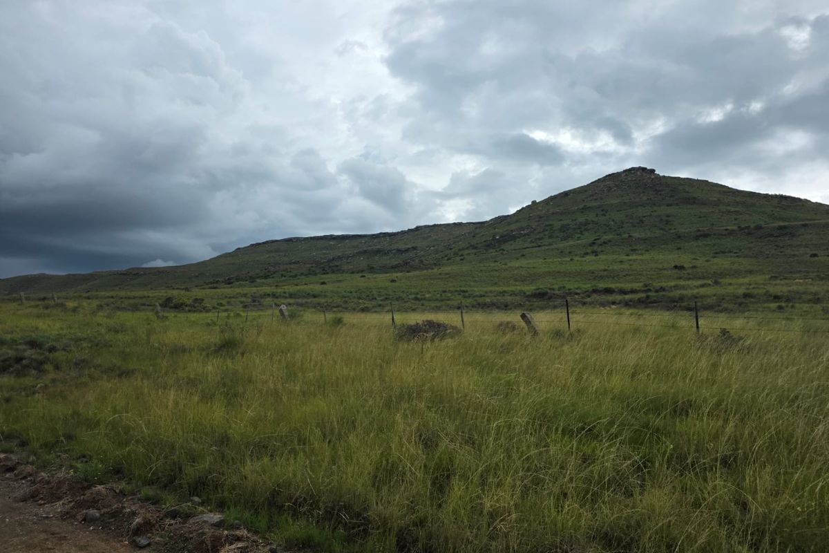 Weidingsplaas te koop - Photo 4