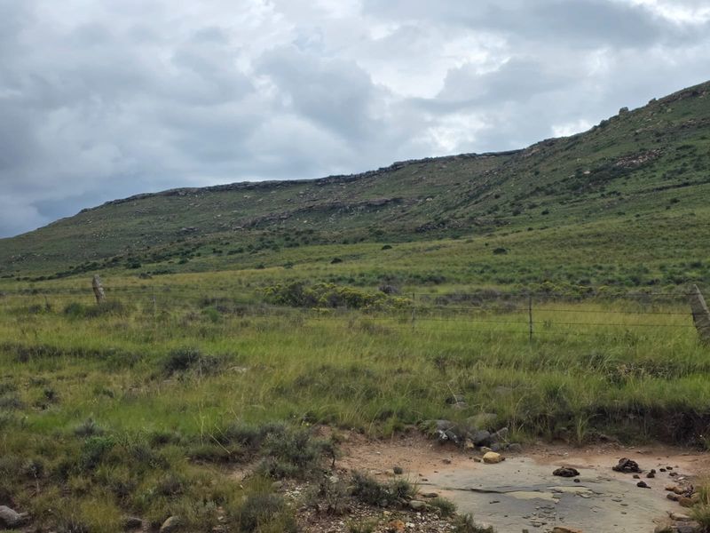 Weidingsplaas te koop - Photo 6