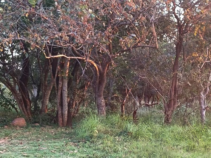 Prime Stand in Koro Creek Golf Estate - Photo 10