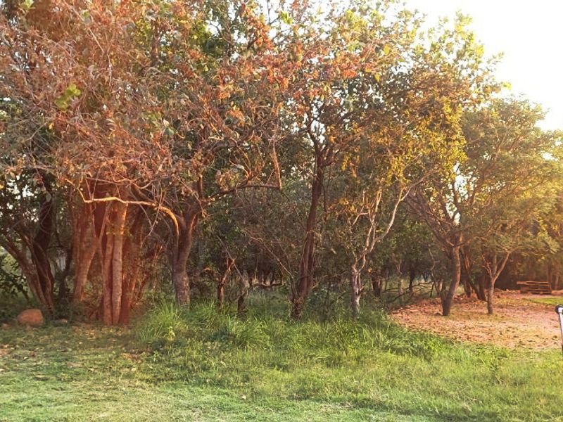 Prime Stand in Koro Creek Golf Estate - Photo 9