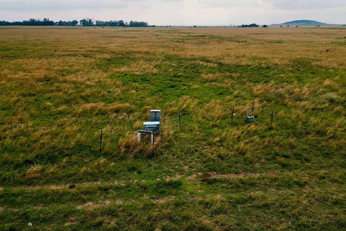Veiling: Uitstekende geleentheid - Top Plase met Diverse Boerderyvertakkings - Photo 4