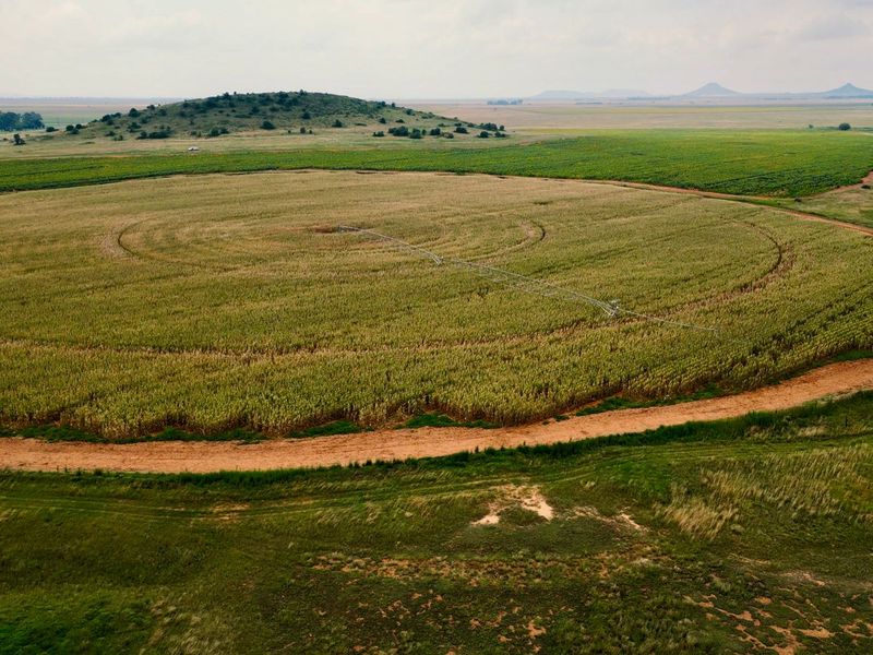 Veiling: Uitstekende geleentheid - Top Plase met Diverse Boerderyvertakkings - Photo 2