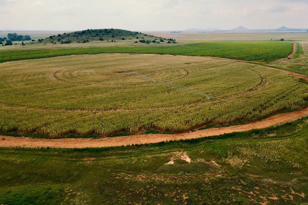 Veiling: Uitstekende geleentheid - Top Plase met Diverse Boerderyvertakkings - Photo 2