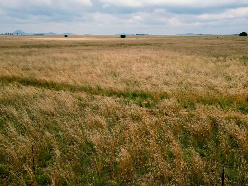 Veiling: Uitstekende geleentheid - Top Plase met Diverse Boerderyvertakkings - Photo 5