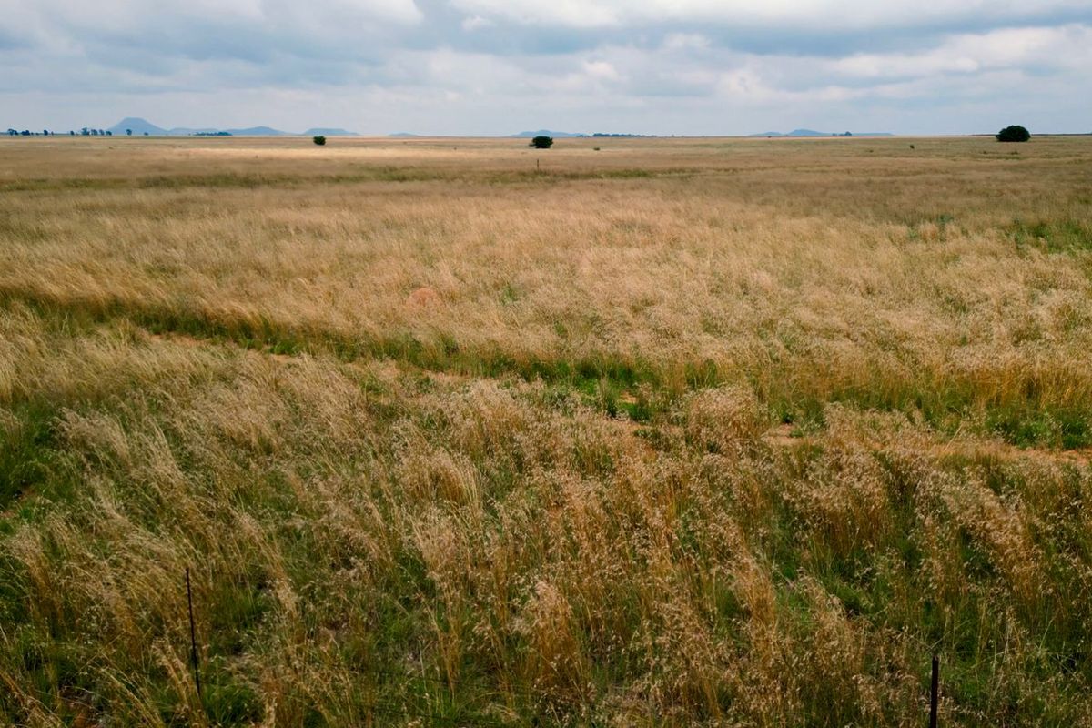 Veiling: Uitstekende geleentheid - Top Plase met Diverse Boerderyvertakkings - Photo 5