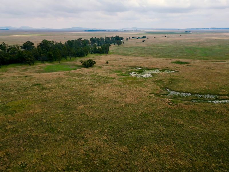 Veiling: Uitstekende geleentheid - Top Plase met Diverse Boerderyvertakkings - Photo 8