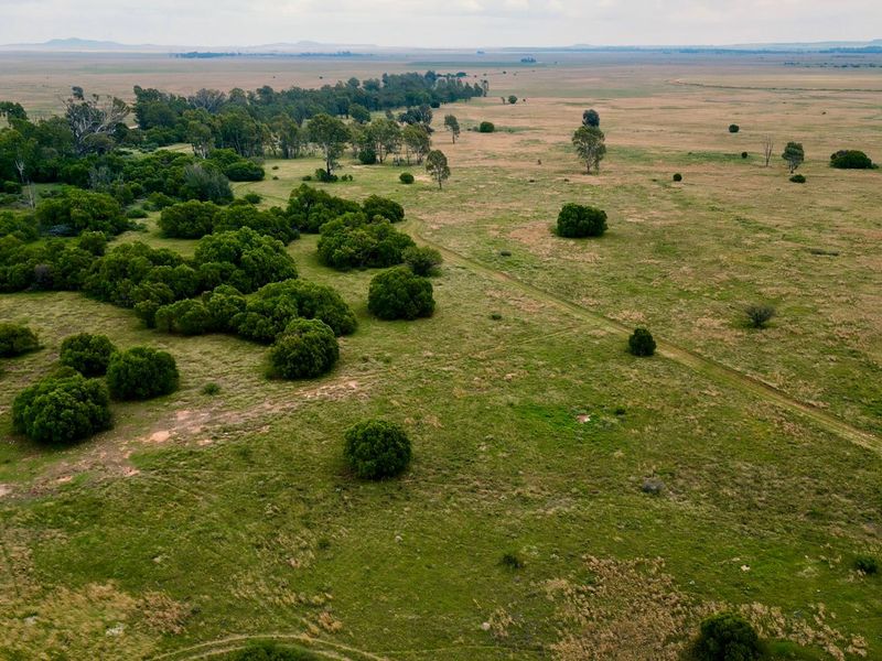 Veiling: Uitstekende geleentheid - Top Plase met Diverse Boerderyvertakkings - Photo 9