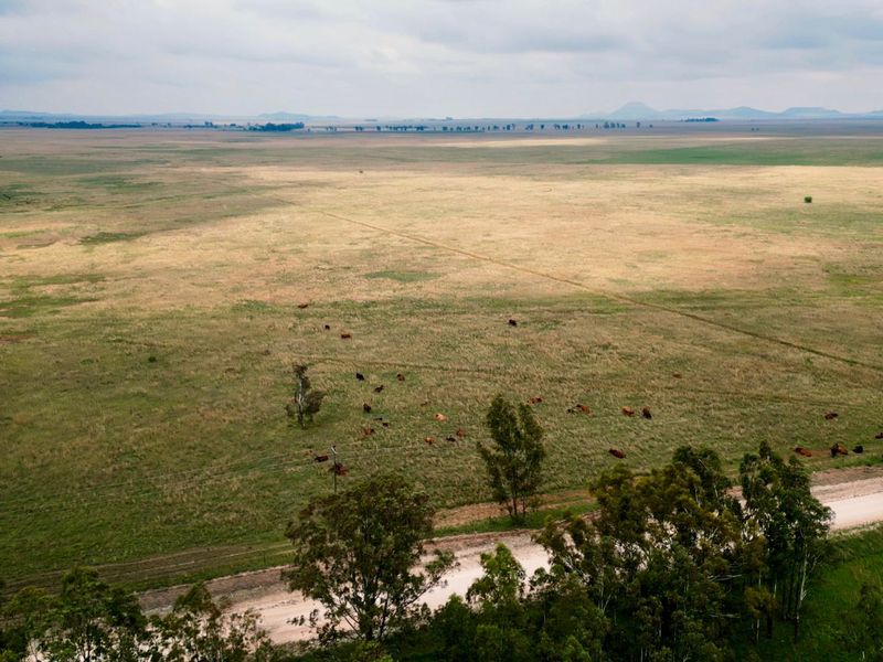 Veiling: Uitstekende geleentheid - Top Plase met Diverse Boerderyvertakkings - Photo 7