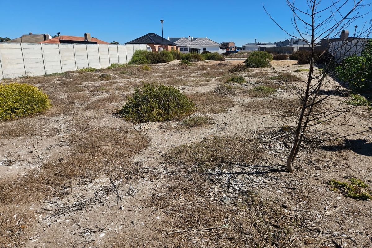 Prime Coastal Stand – Steps from the Beach! - Photo 3