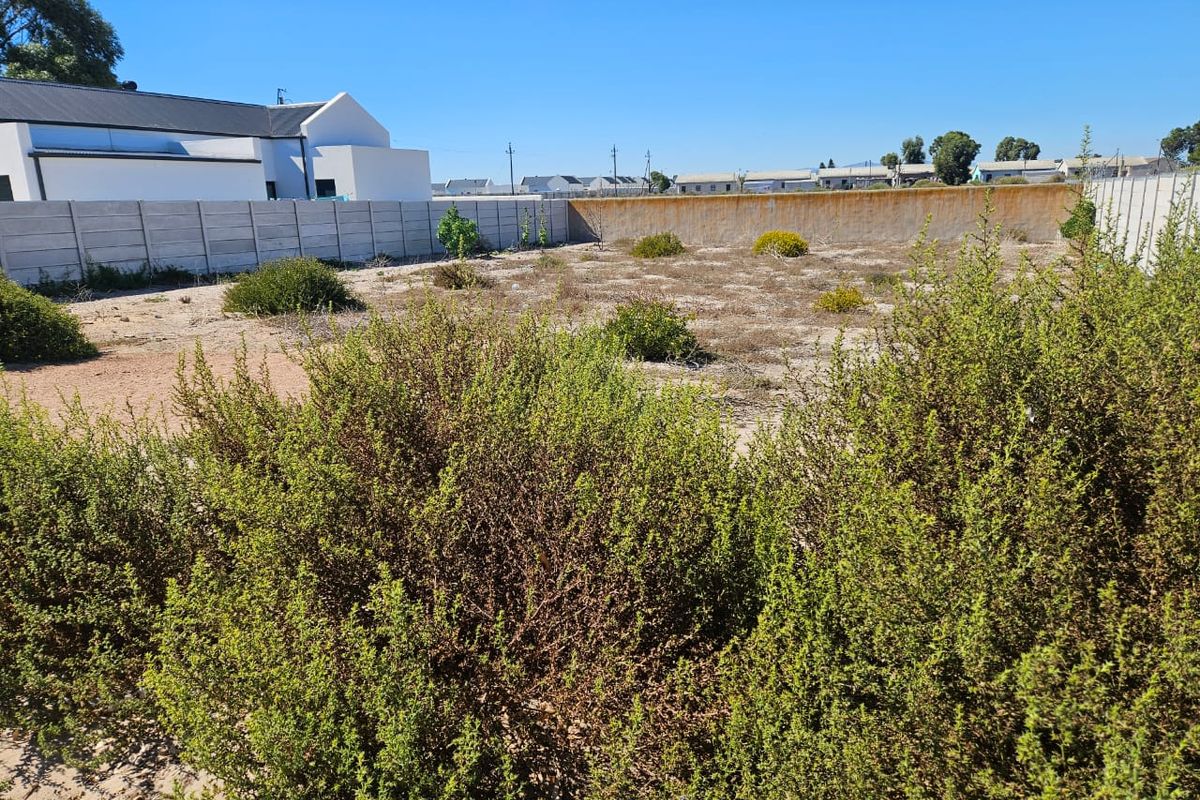 Prime Coastal Stand – Steps from the Beach! - Photo 5