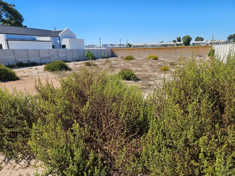 Prime Coastal Stand – Steps from the Beach! - Photo 5