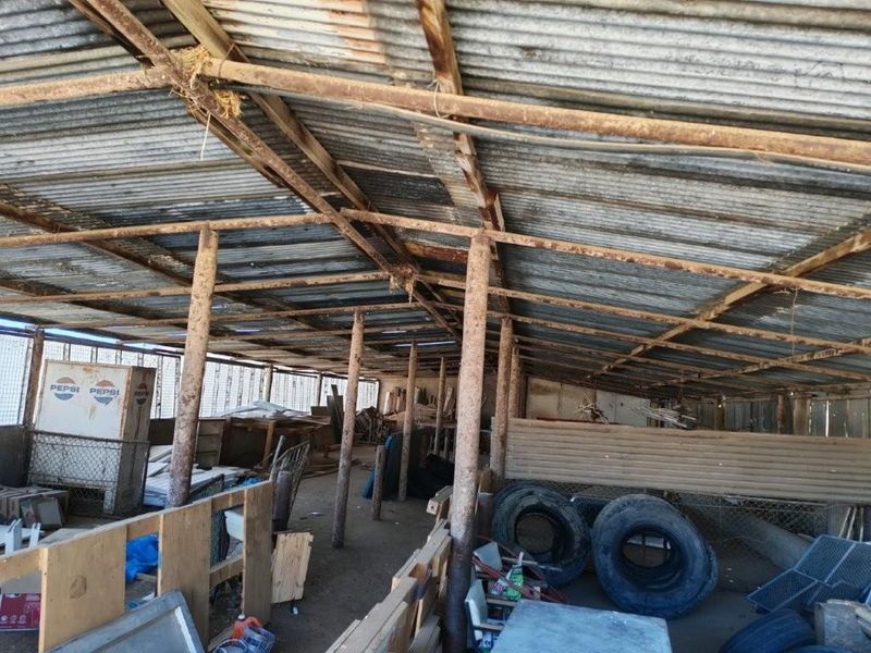 Touws River smallholding for sale 4.5 ha - Photo 5