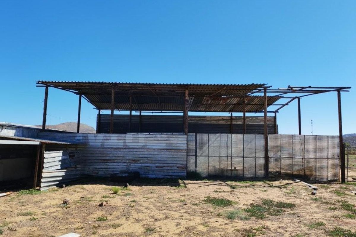 Touws River smallholding for sale 4.5 ha - Photo 4