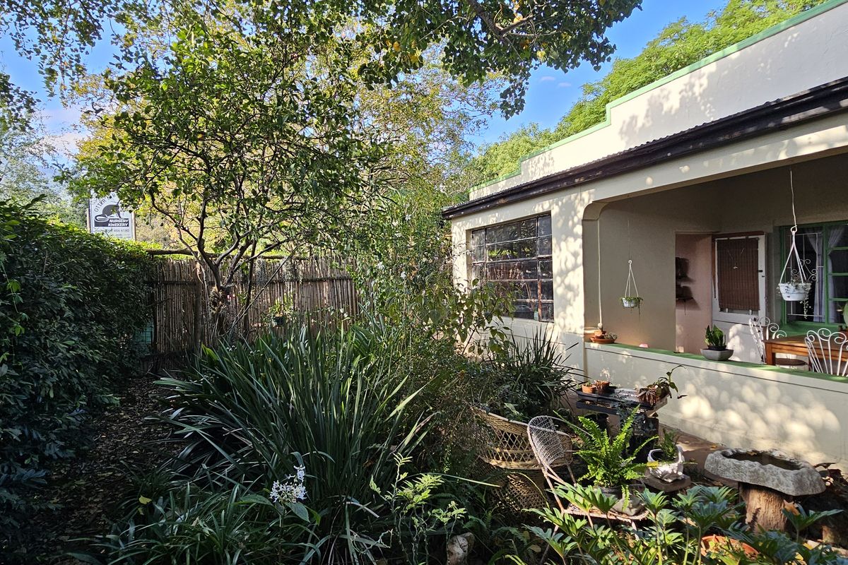 Riverfront 5-Bedroom Property with Business Potential in Central Swellendam - Photo 3