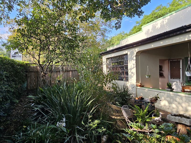 Riverfront 5-Bedroom Property with Business Potential in Central Swellendam - Photo 2