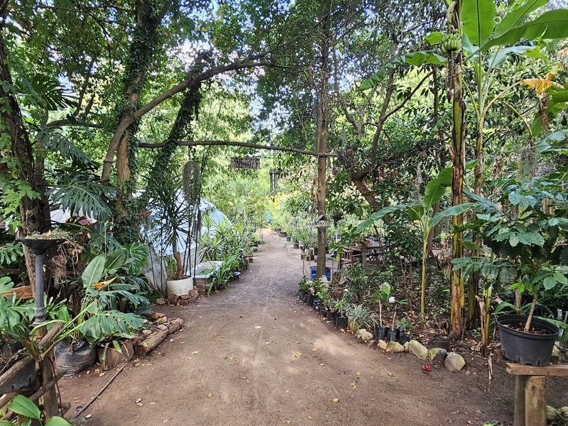 Riverfront 5-Bedroom Property with Business Potential in Central Swellendam - Photo 2