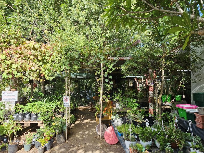 Riverfront 5-Bedroom Property with Business Potential in Central Swellendam - Photo 10