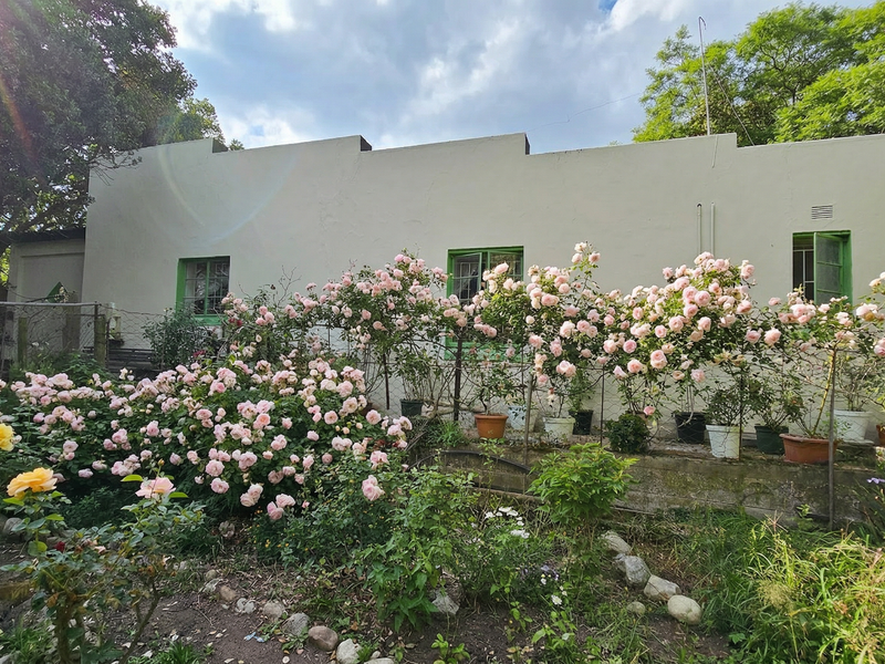 Riverfront 5-Bedroom Property with Business Potential in Central Swellendam - Photo 9