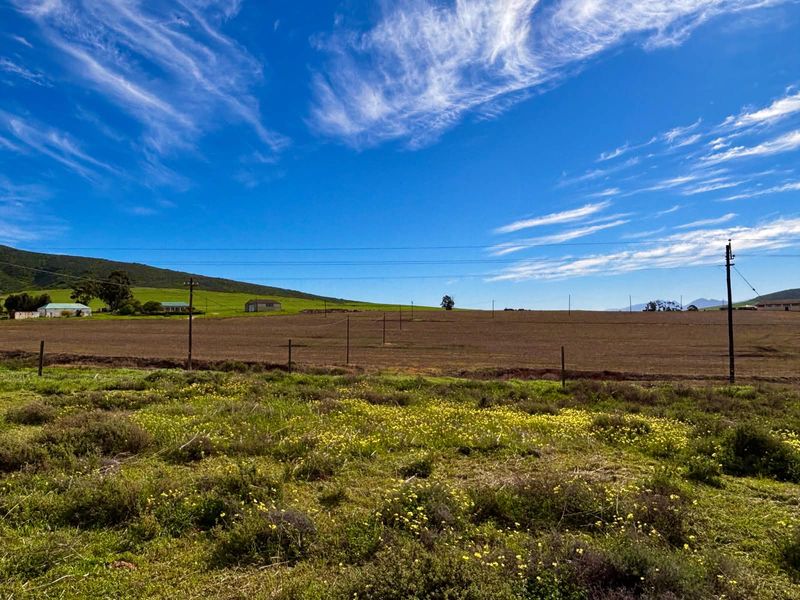 VACANT LAND Plus Borehole, Plus Eectricity, Plus Plans in a beautifull country setting! - Photo 5