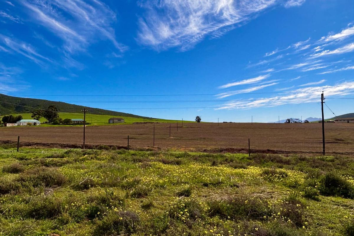 VACANT LAND Plus Borehole, Plus Eectricity, Plus Plans in a beautifull country setting! - Photo 5
