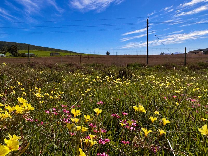 VACANT LAND Plus Borehole, Plus Eectricity, Plus Plans in a beautifull country setting! - Photo 1