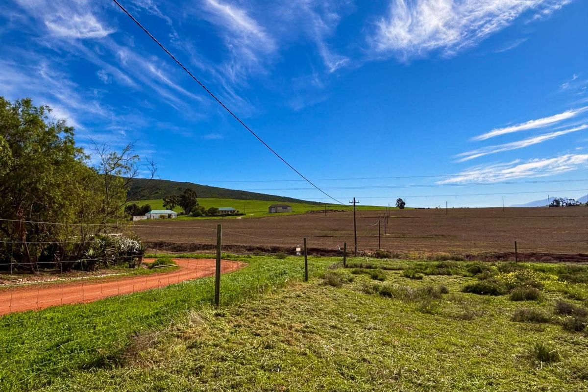 VACANT LAND Plus Borehole, Plus Eectricity, Plus Plans in a beautifull country setting! - Photo 4