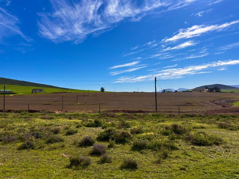VACANT LAND Plus Borehole, Plus Eectricity, Plus Plans in a beautifull country setting! - Photo 9